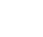 Investor Connections & Insights